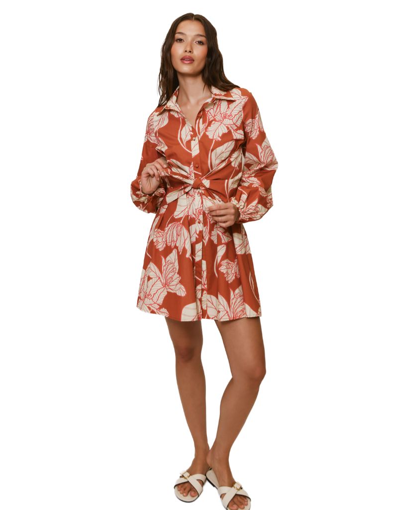 Hutch Betty Dress Copper Dramatic Vining Iris